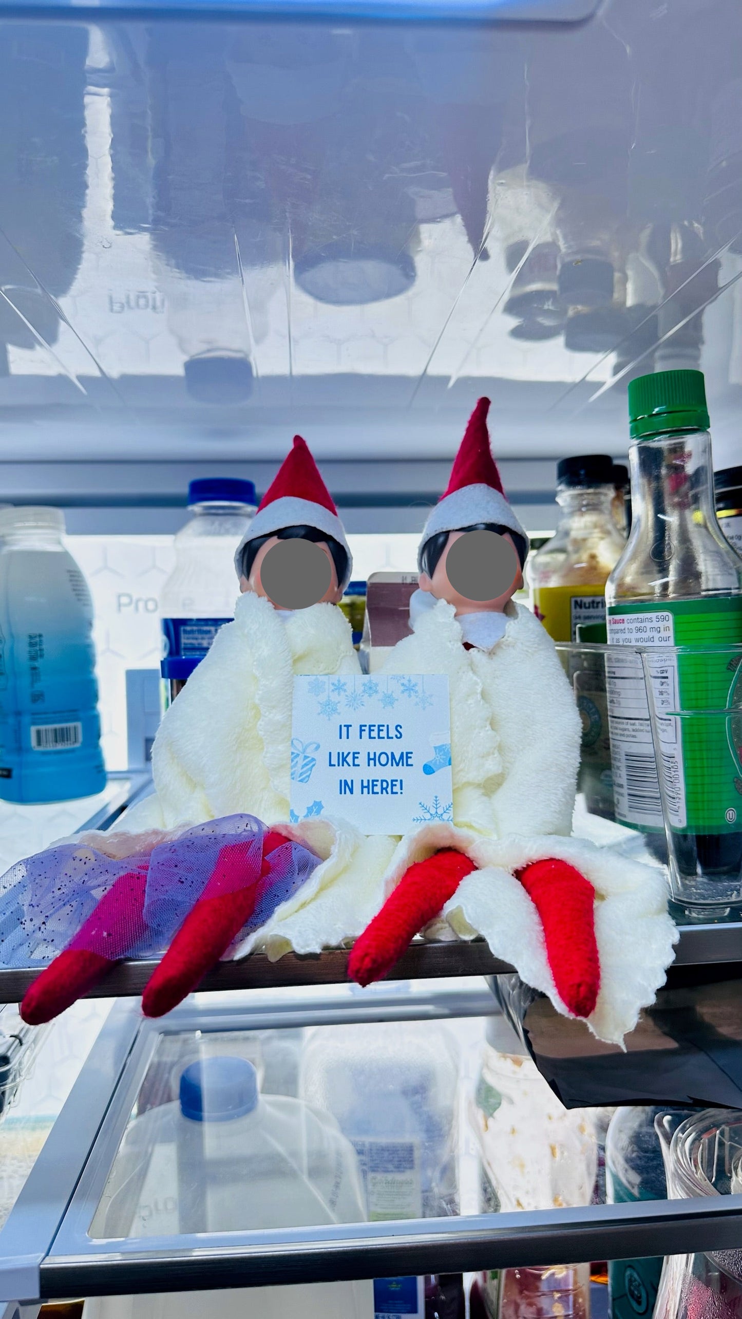 2025 Elf Box for Two Elf Household - 24 Days of Elf Mischief & Fun | All New Scenes, No Repeat Days from Last Year