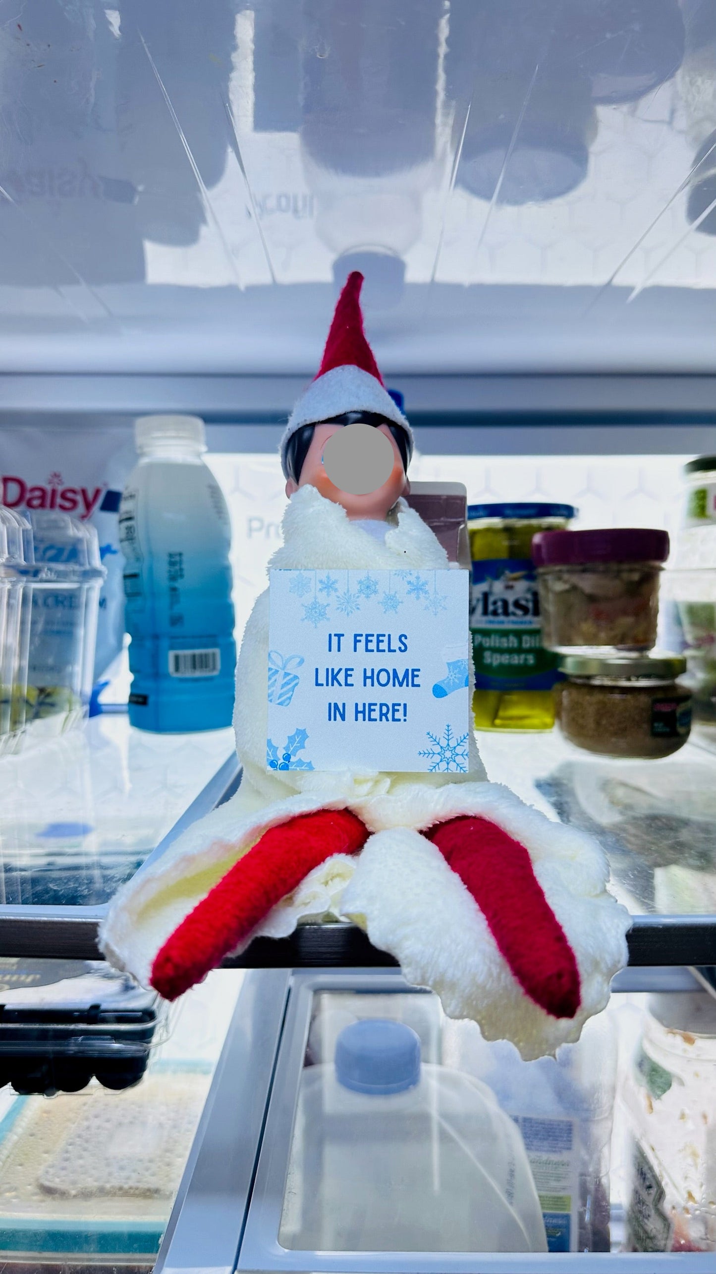 2025 Elf Box for One Elf Household - 24 Days of Elf Mischief & Fun | All New Scenes, No Repeat Days from Last Year