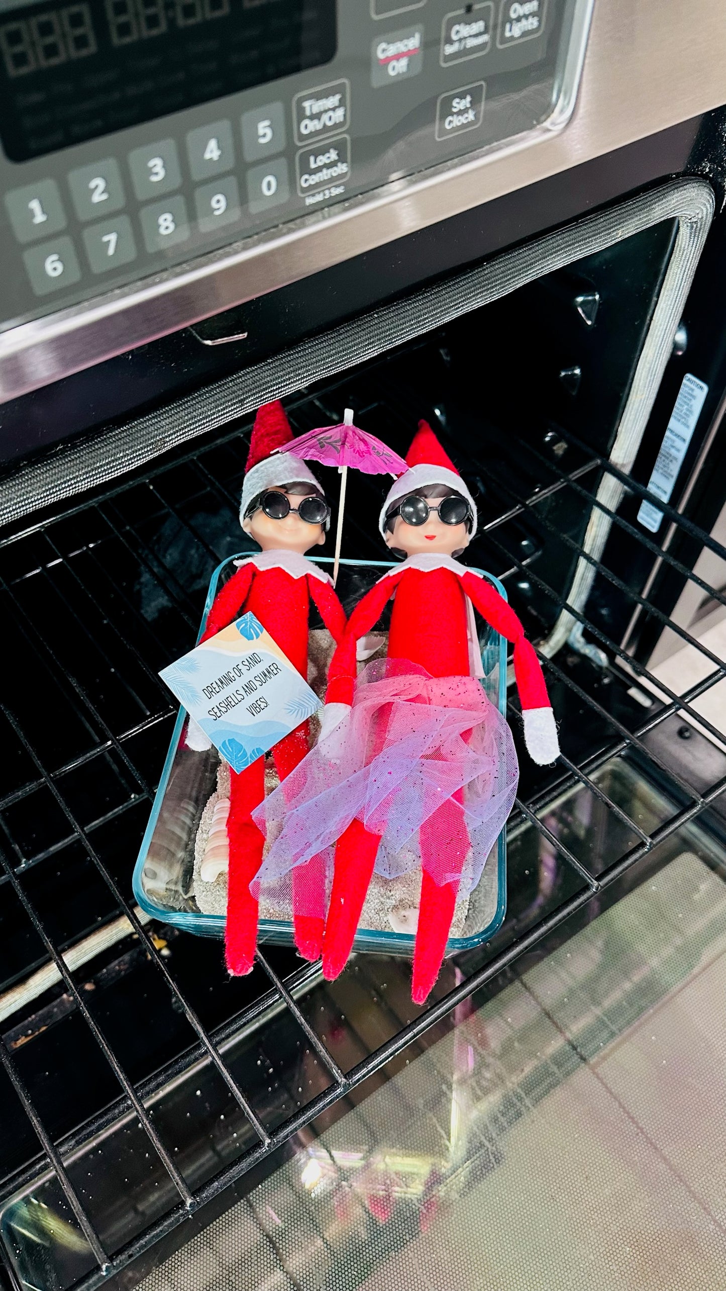 2025 Elf Box for Two Elf Household - 24 Days of Elf Mischief & Fun | All New Scenes, No Repeat Days from Last Year