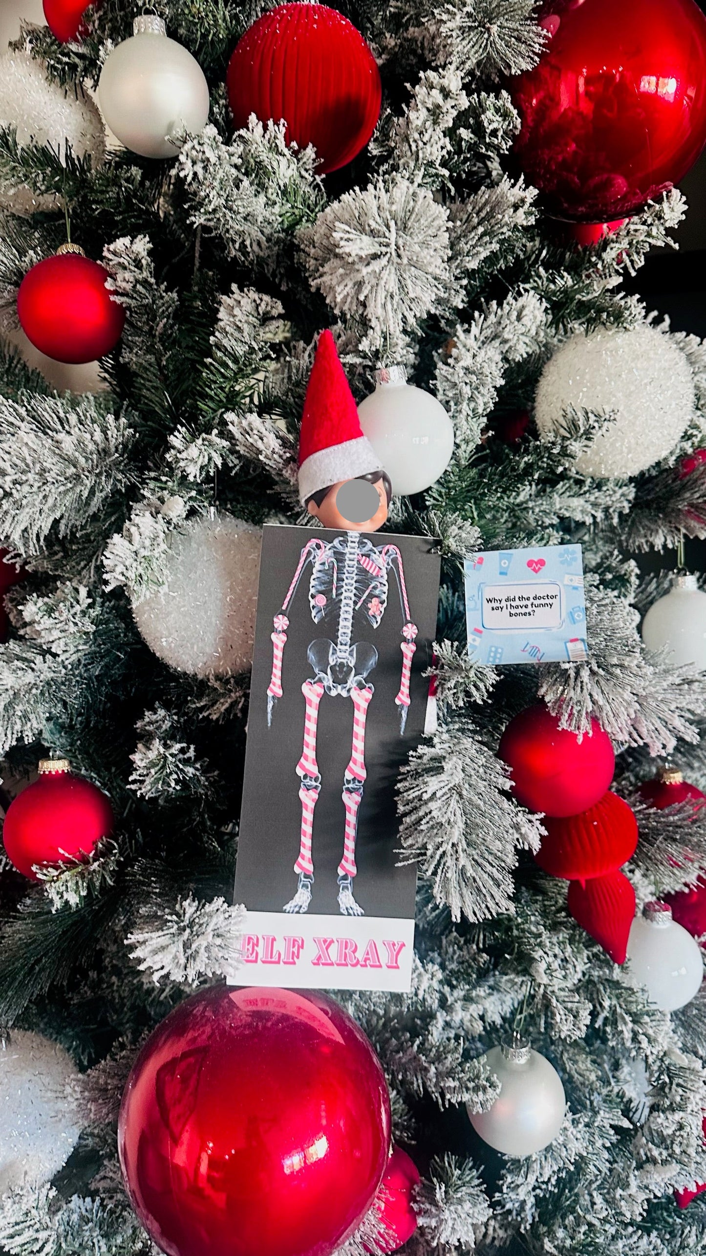 2025 Elf Box for One Elf Household - 24 Days of Elf Mischief & Fun | All New Scenes, No Repeat Days from Last Year