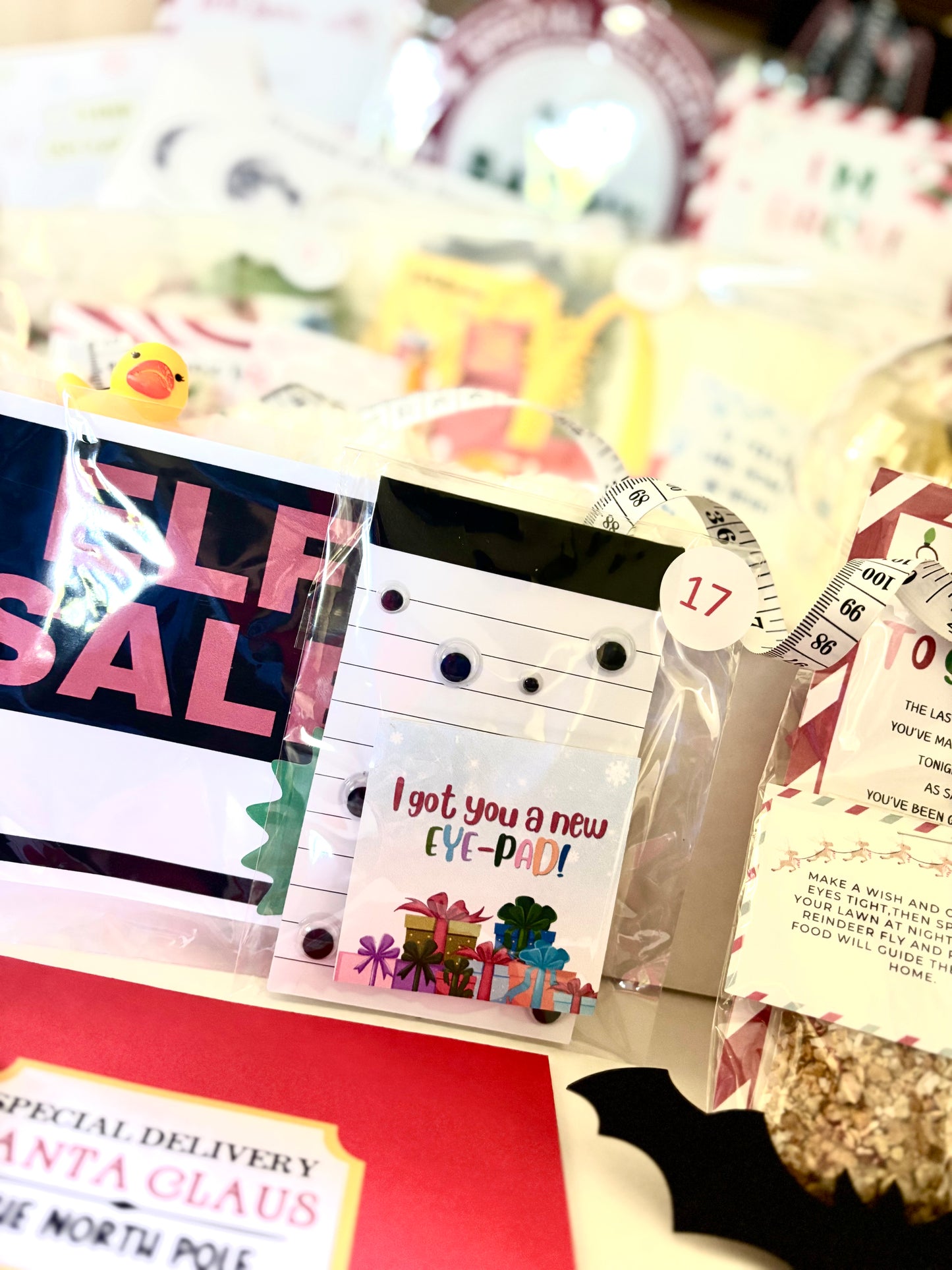 2025 Elf Box for Two Elf Household - 24 Days of Elf Mischief & Fun | All New Scenes, No Repeat Days from Last Year